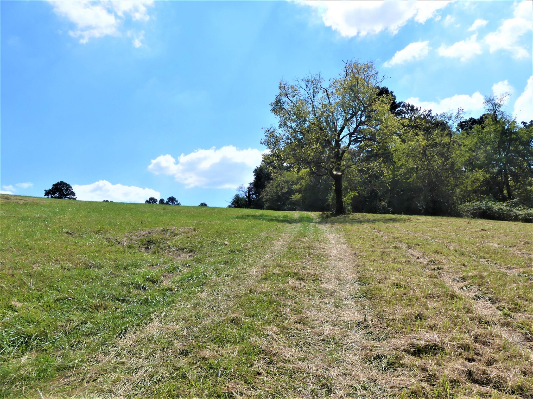 0 Co Road Athens, TN 37303 - Photo 9 of 12