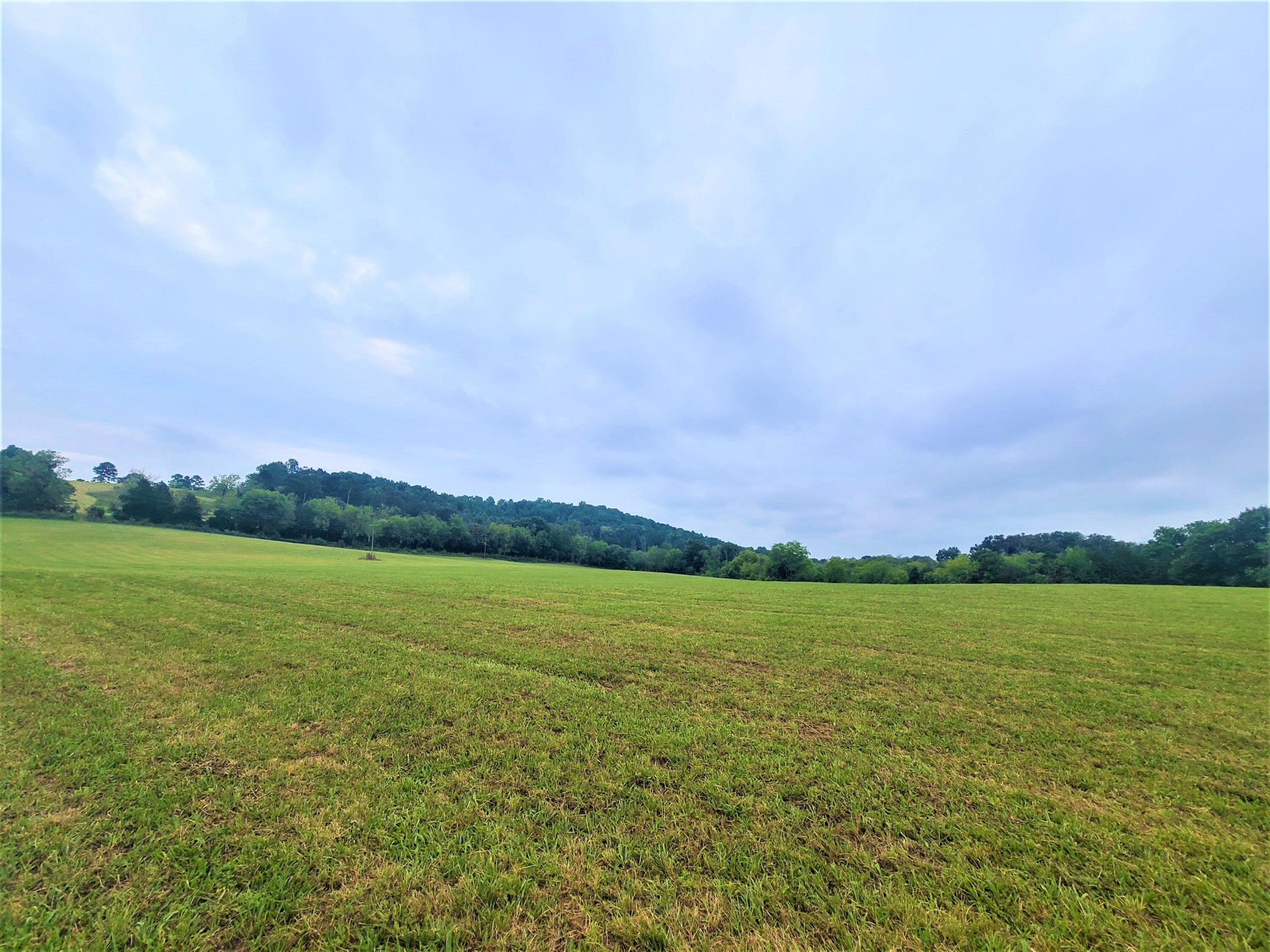 0 Co Road Athens, TN 37303 - Photo 10 of 12