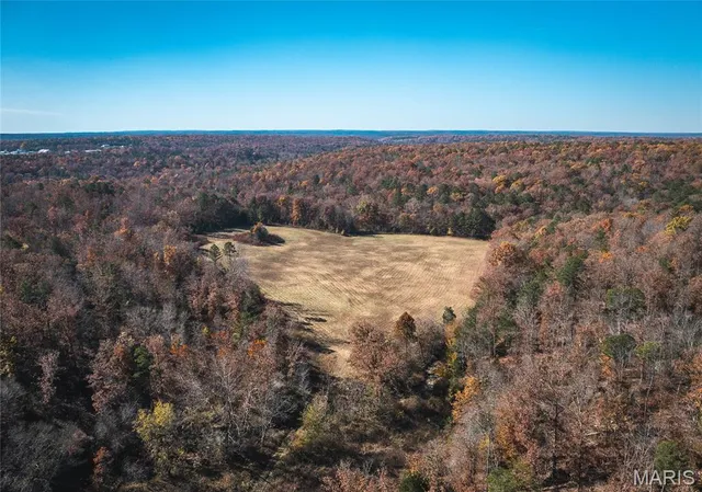 $380,000 | 0 Deason Drive, Licking, MO 65542