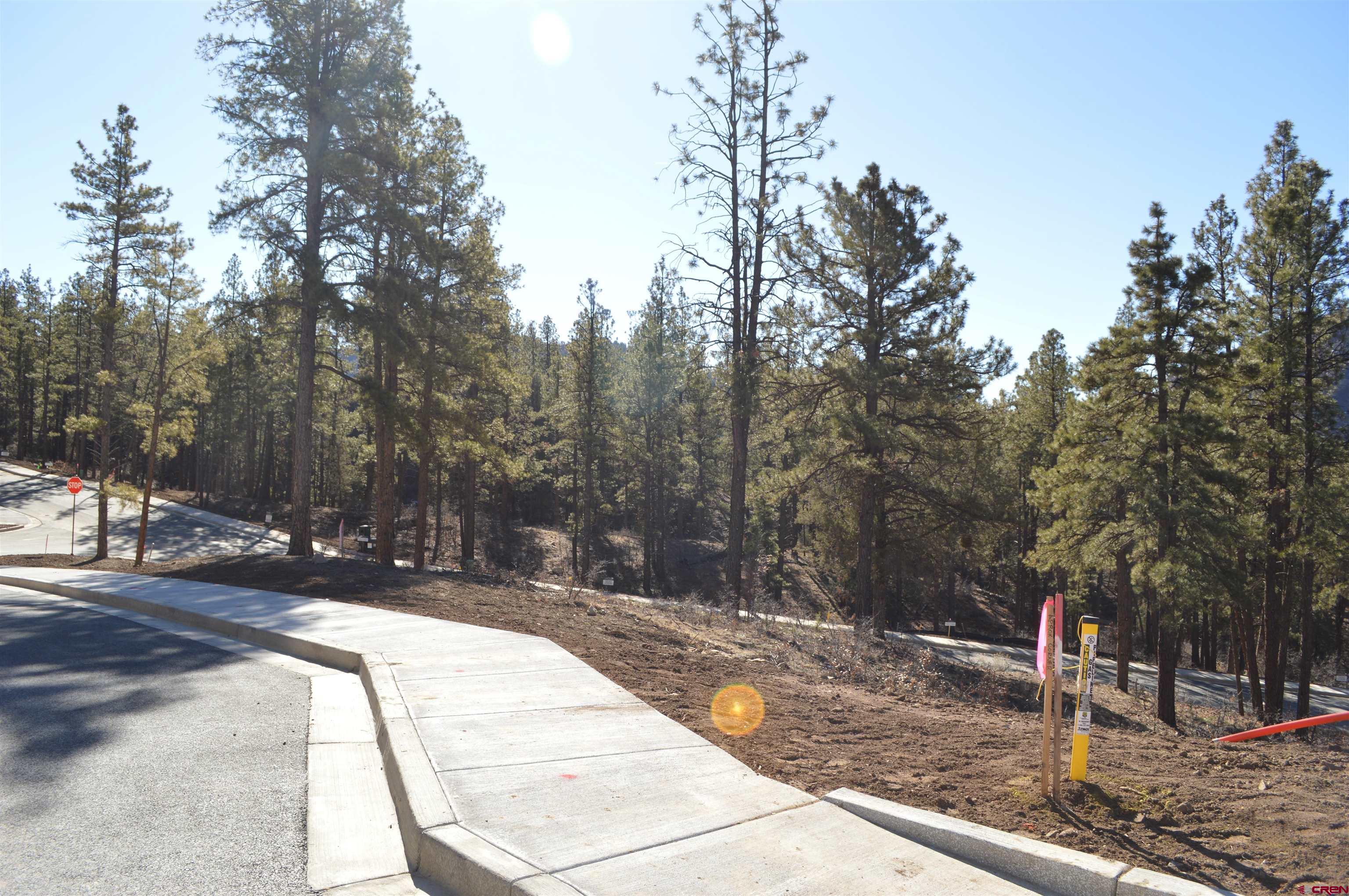 35 Snowdrop Court Durango, CO 81301 - Photo 3 of 33