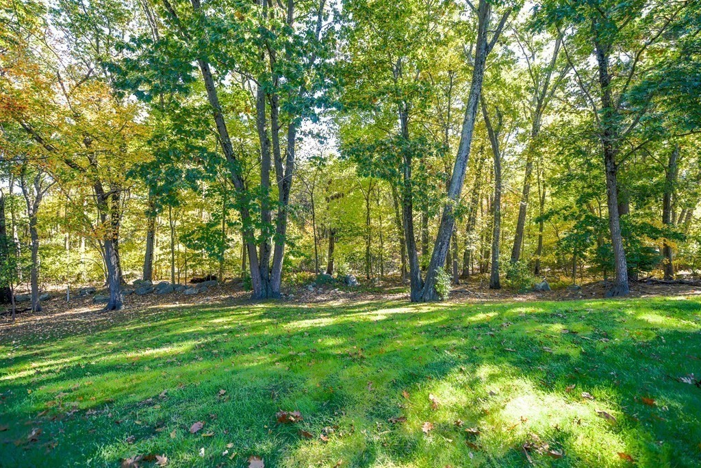 142 Park Road Chelmsford, MA 01824 - Photo 24 of 27