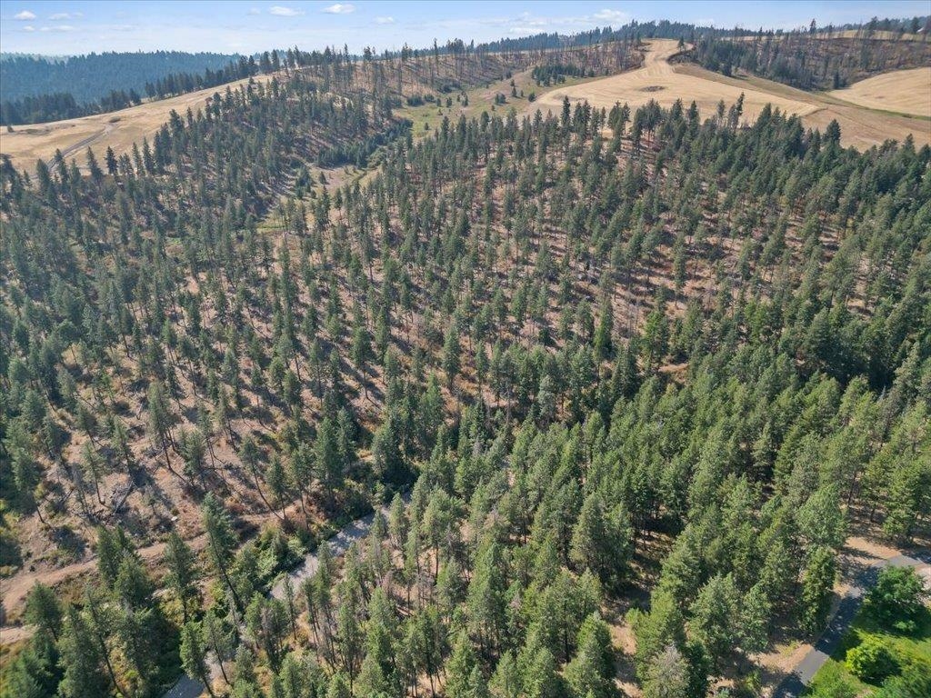 Nka West Ballard Road, Unit LOT 2A Spokane, WA 99208 - Photo 5 of 11