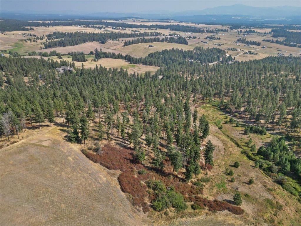 Nka West Ballard Road, Unit LOT 2A Spokane, WA 99208 - Photo 7 of 11