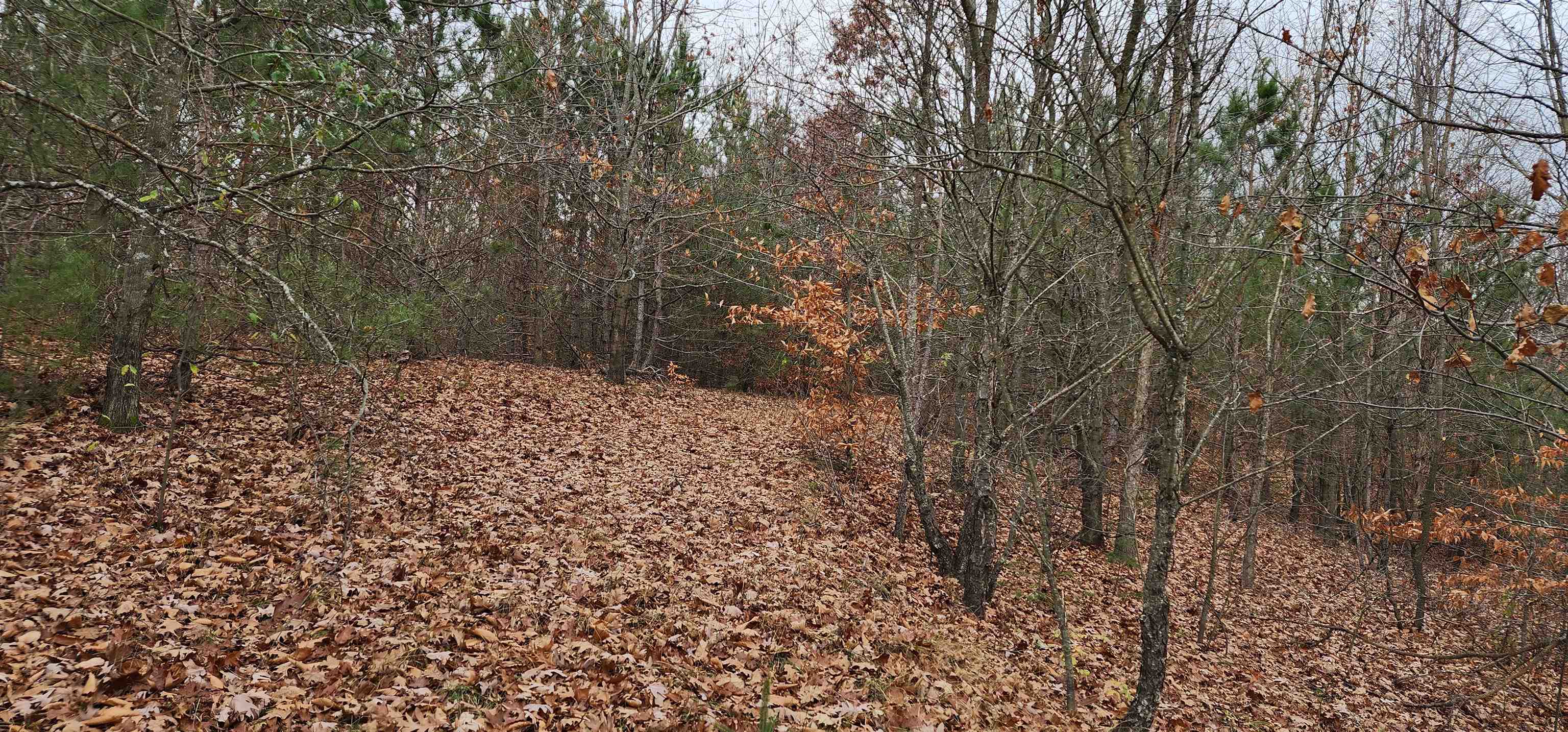 8.59 West Phelps Road Manton, MI 49663 - Photo 7 of 26 1906535-6.JPG