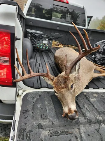 a living room with furniture gym equipment and a view of living room