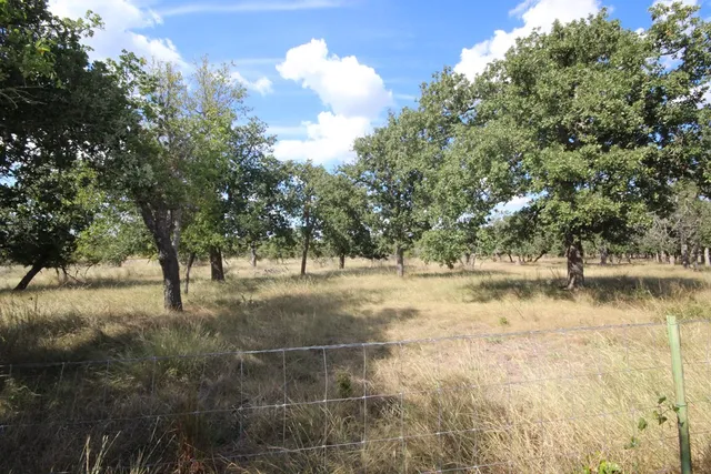 a view of back yard of the house
