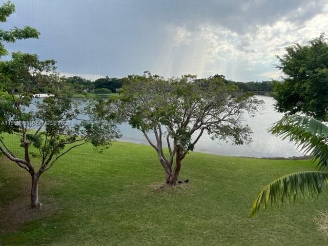 a view of a trees with a yard