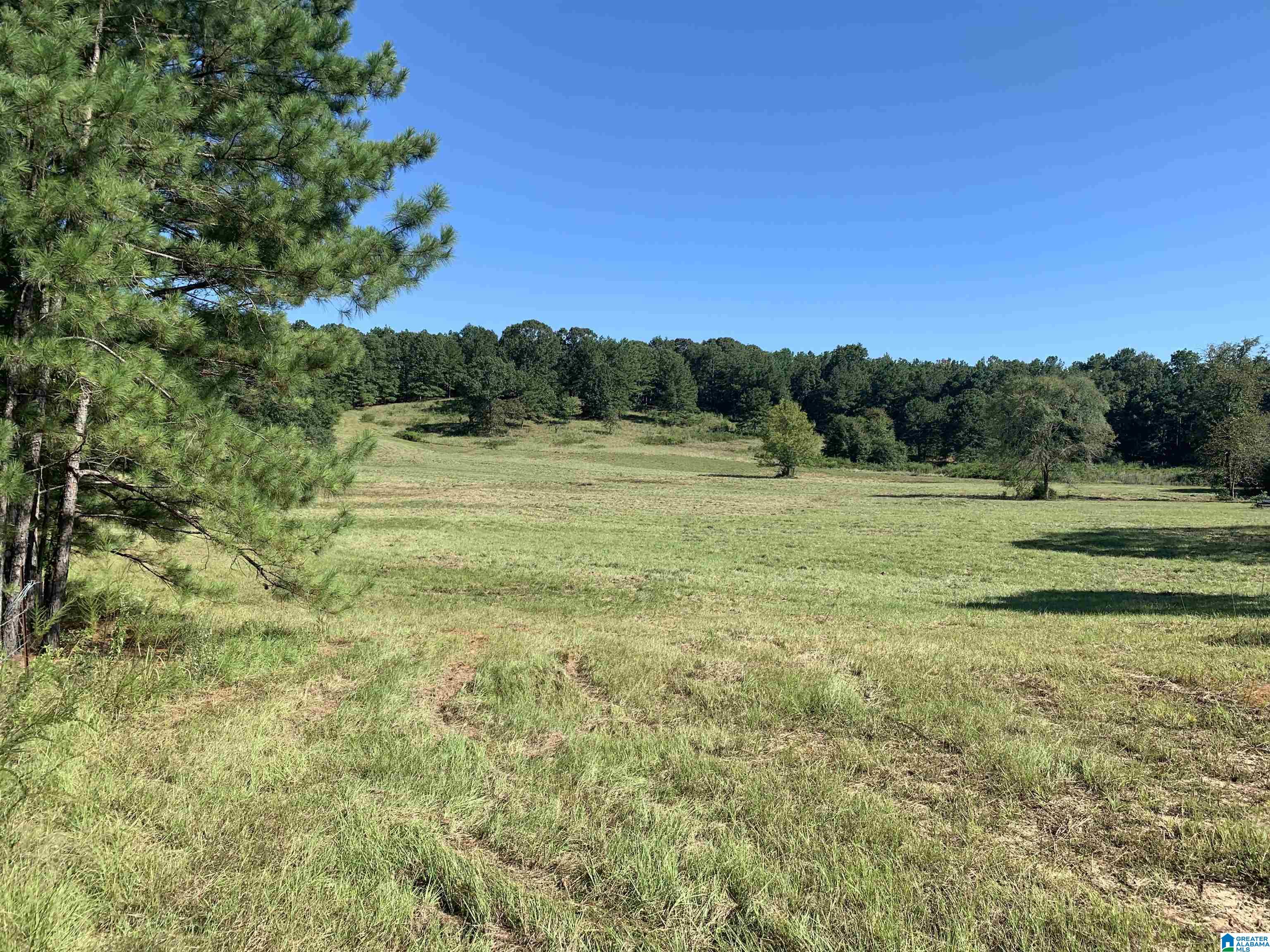 2020 Church Road, Unit 2020 Pell City, AL 35128 - Photo 8 of 16