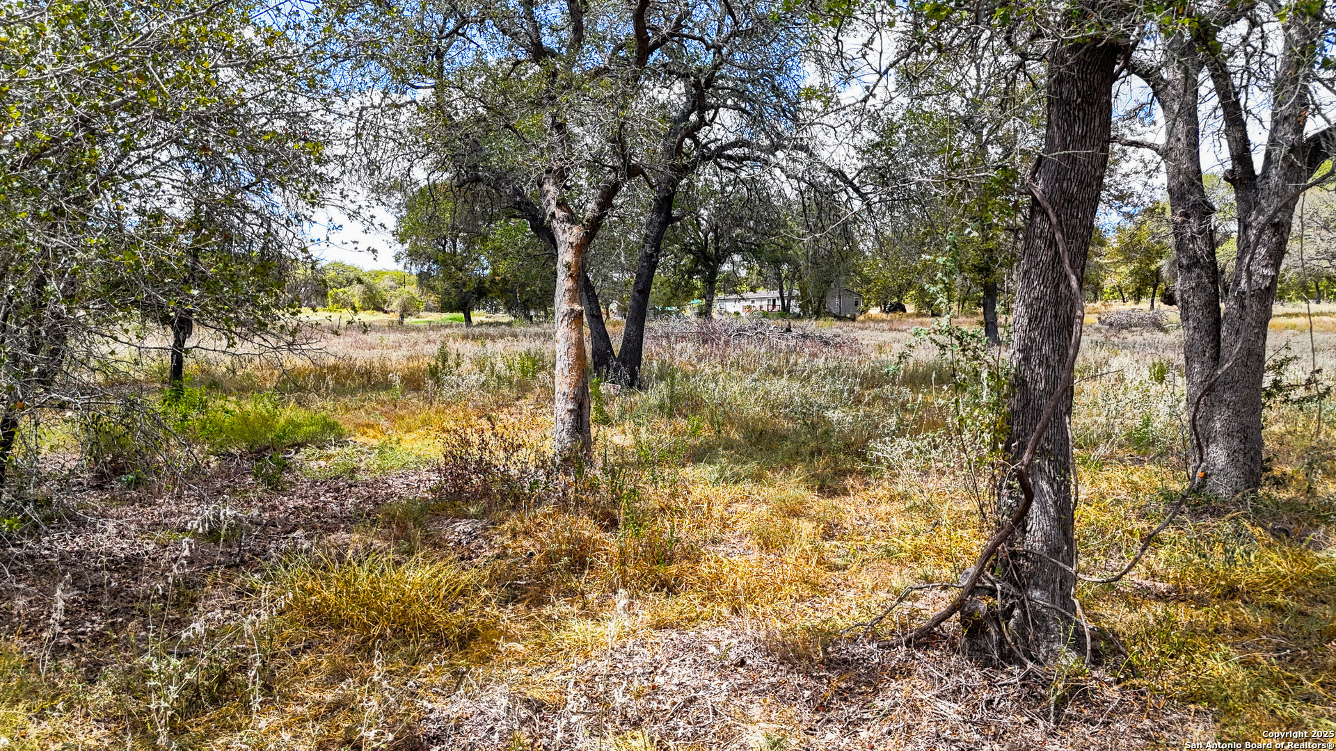 141 Oak Hill Road La Vernia, TX 78121 - Photo 11 of 18 a view of yard with trees