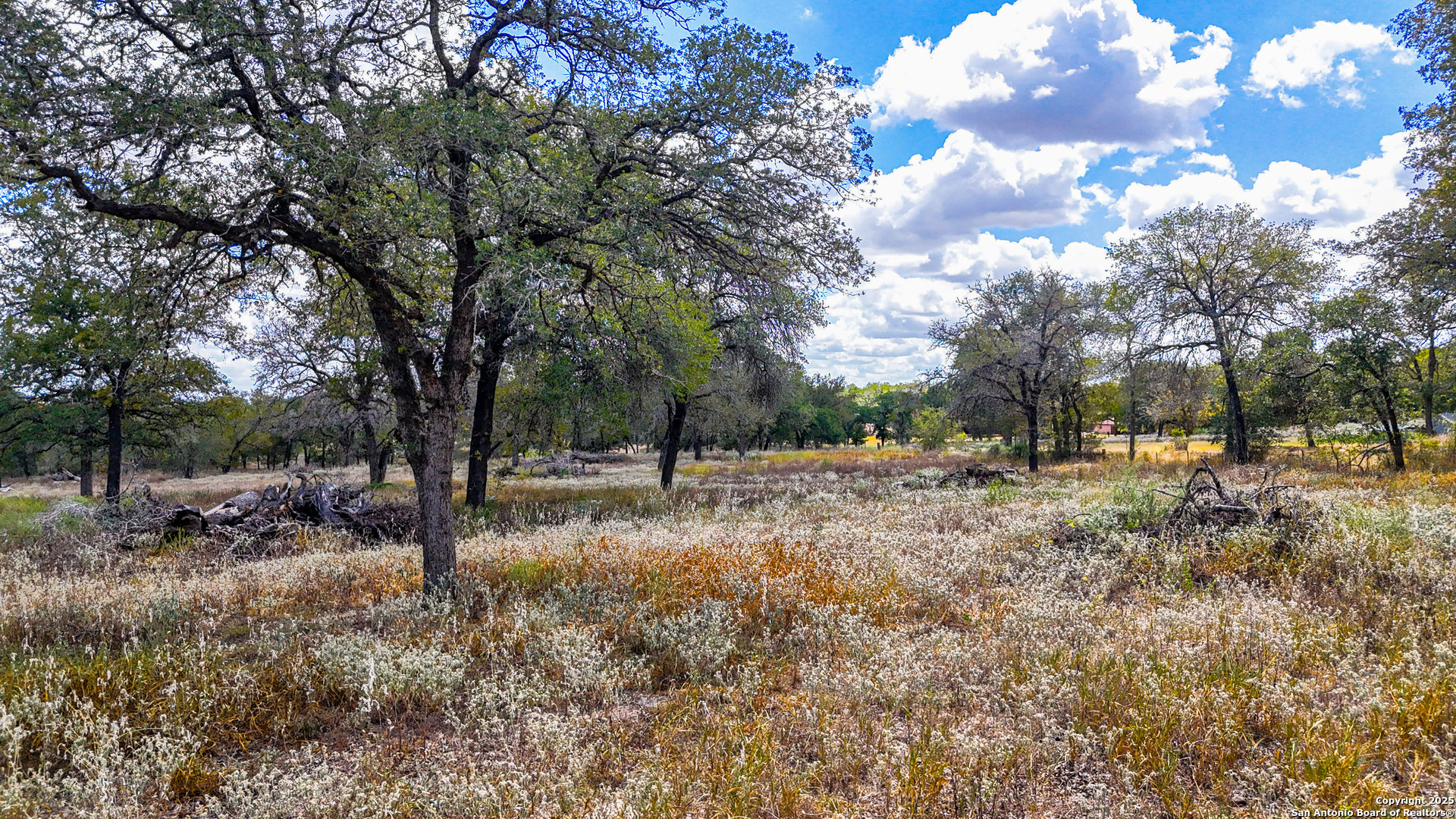 141 Oak Hill Road La Vernia, TX 78121 - Photo 12 of 18 a view of outdoor space with trees