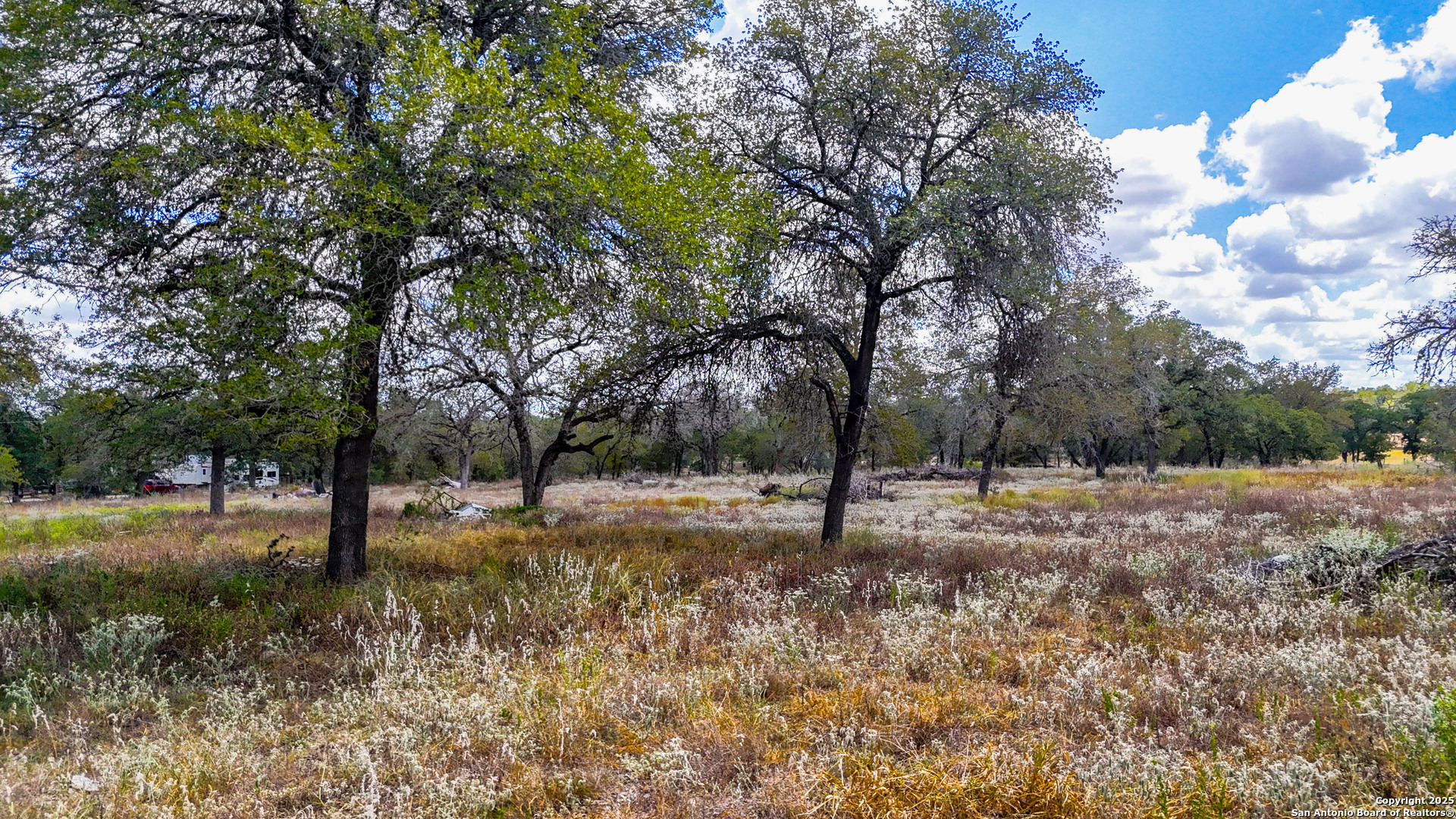 141 Oak Hill Road La Vernia, TX 78121 - Photo 17 of 18 a view of a yard with a tree