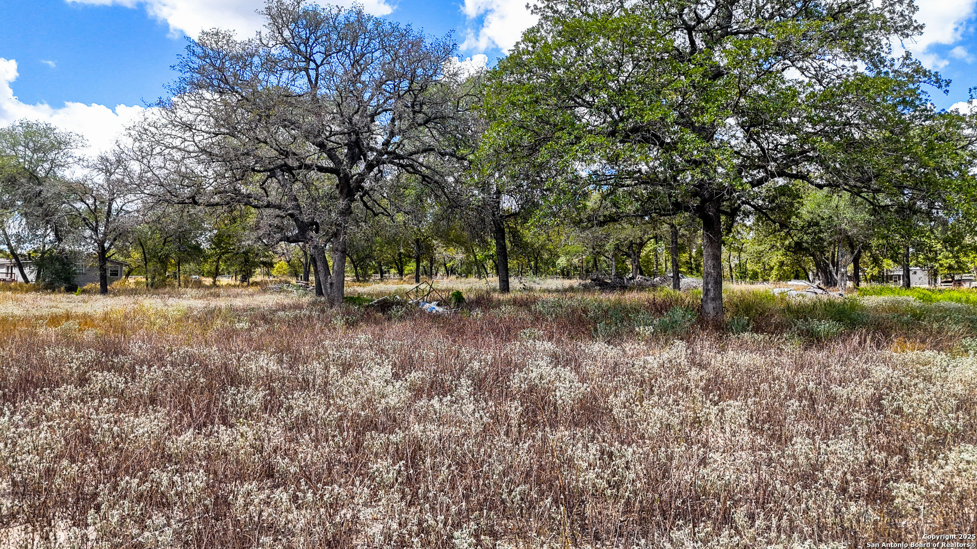 141 Oak Hill Road La Vernia, TX 78121 - Photo 3 of 18 a view of outdoor space with trees