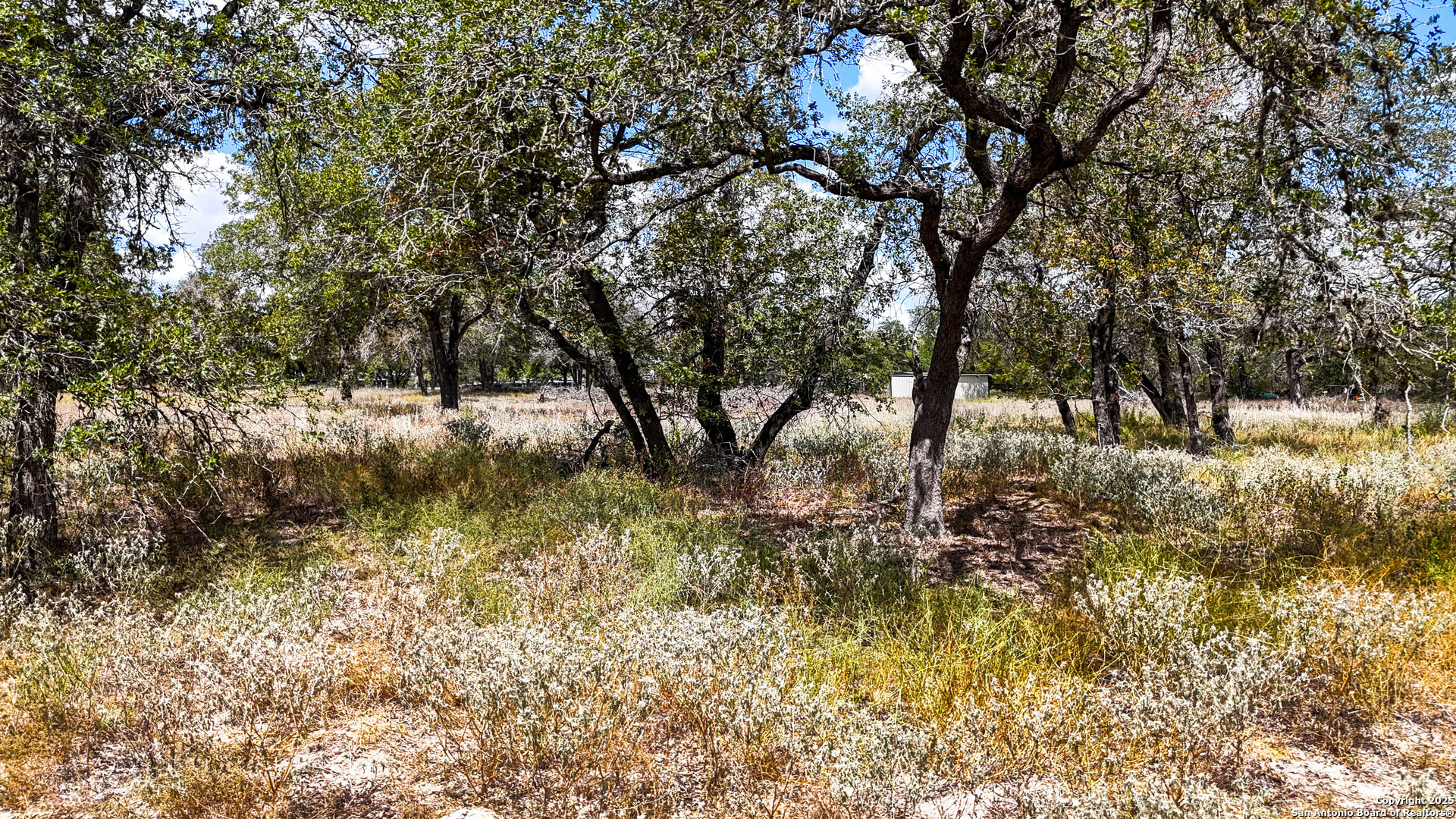 141 Oak Hill Road La Vernia, TX 78121 - Photo 4 of 18 a view of a yard with a tree