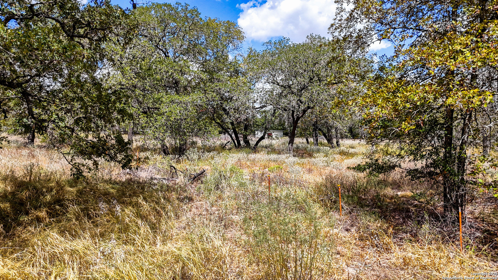 141 Oak Hill Road La Vernia, TX 78121 - Photo 5 of 18 a view of outdoor space and trees