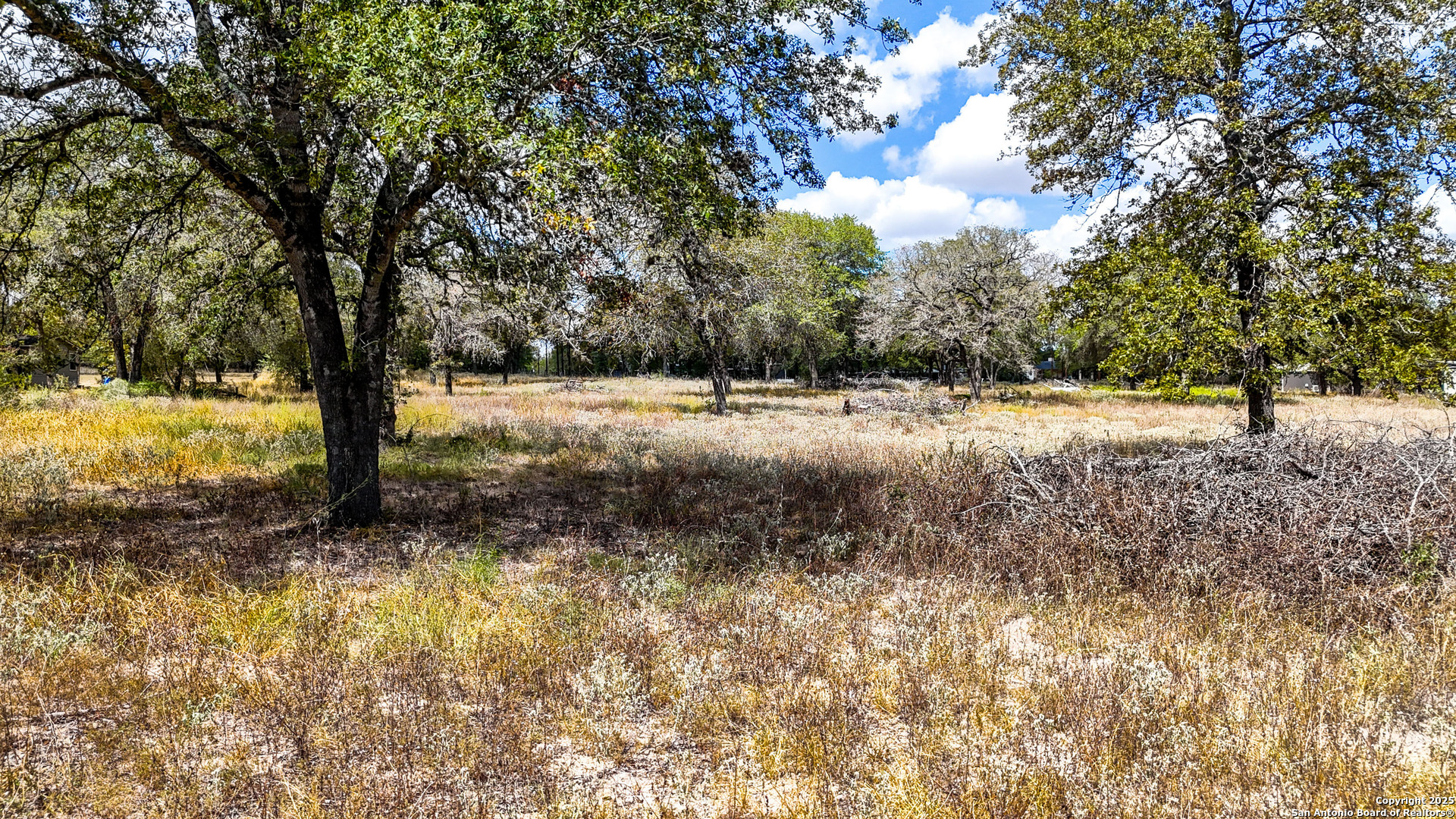 141 Oak Hill Road La Vernia, TX 78121 - Photo 6 of 18 a view of a yard with a tree