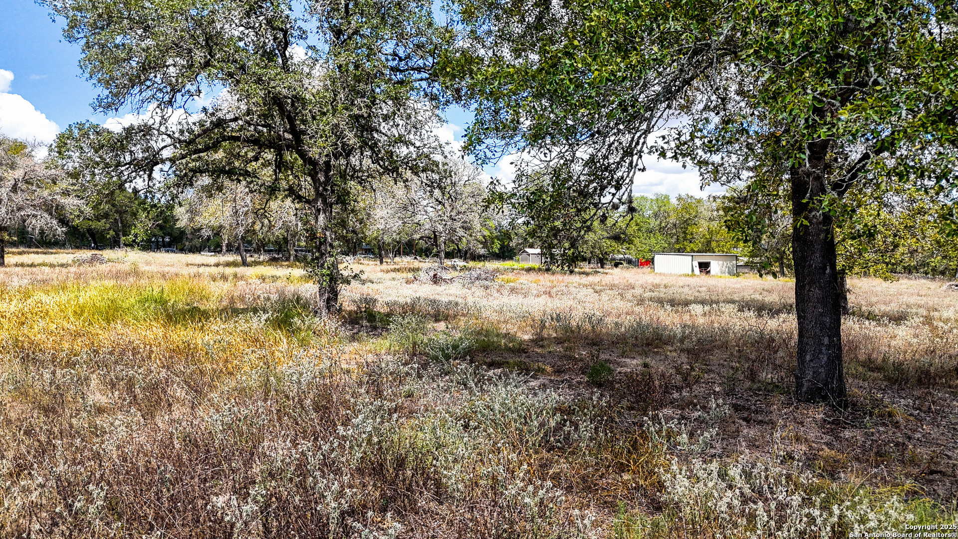 141 Oak Hill Road La Vernia, TX 78121 - Photo 7 of 18 a view of a yard with a tree