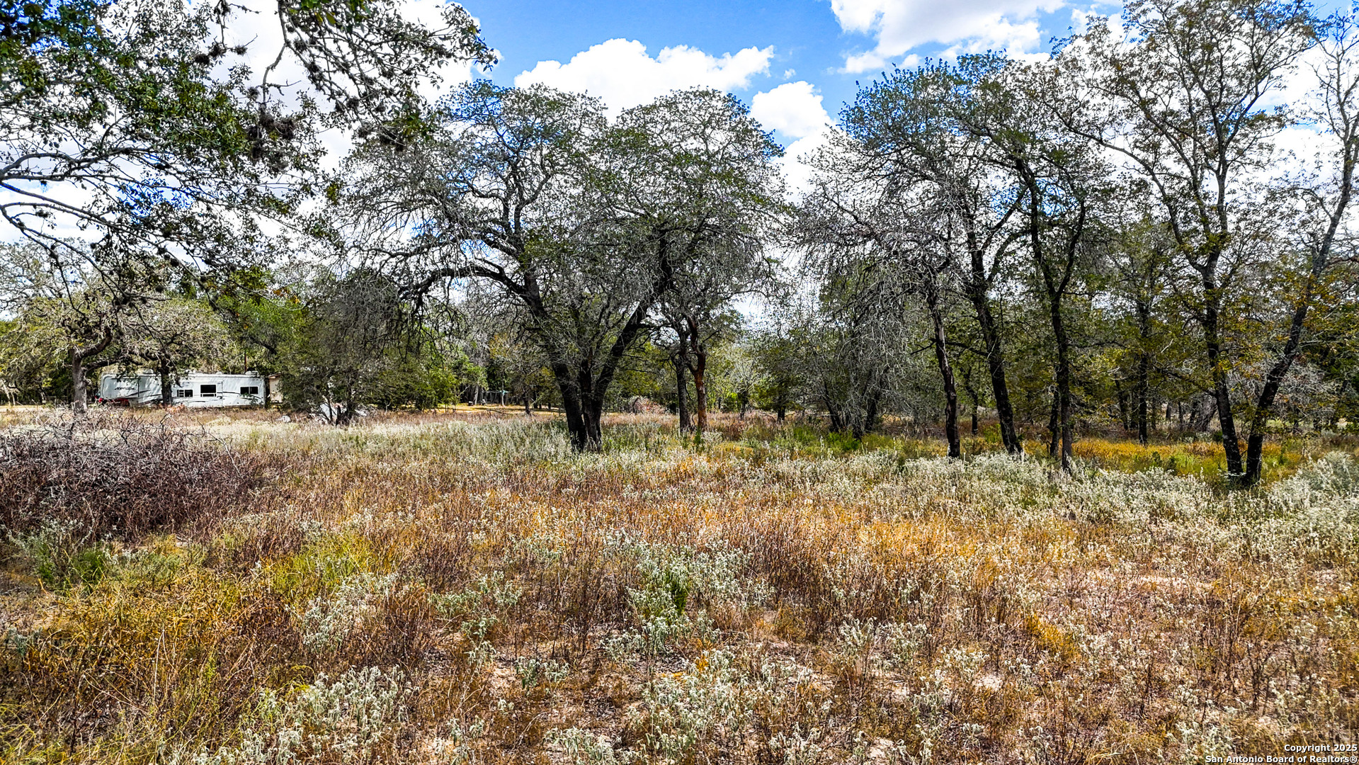 141 Oak Hill Road La Vernia, TX 78121 - Photo 8 of 18 a view of outdoor space with trees