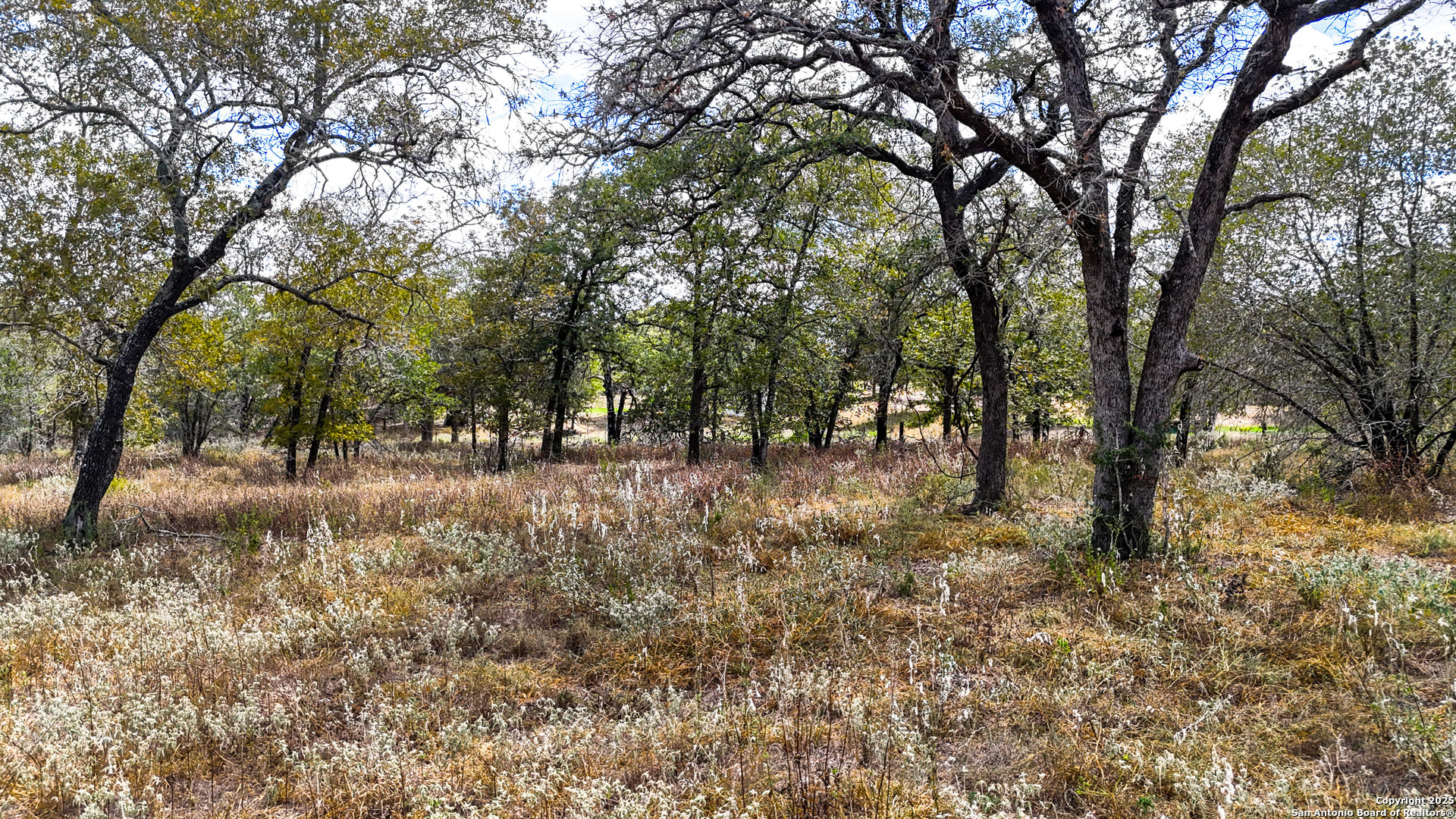 141 Oak Hill Road La Vernia, TX 78121 - Photo 9 of 18 a view of outdoor space with trees