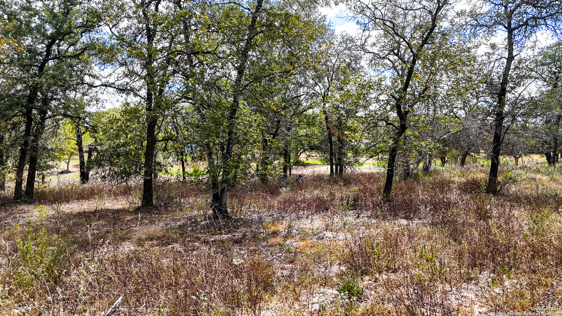 141 Oak Hill Road La Vernia, TX 78121 - Photo 10 of 18 a view of some trees in a forest