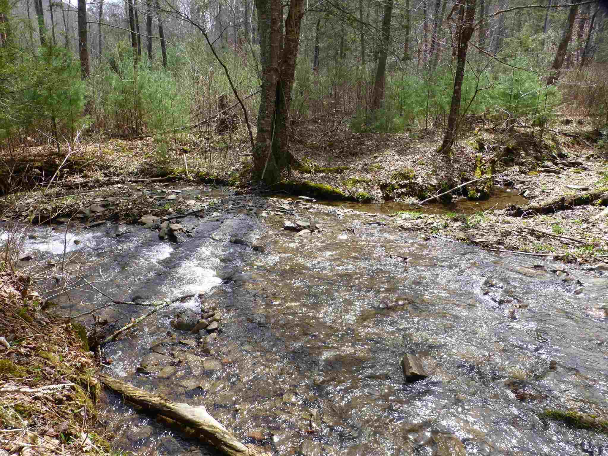 61-ac Upper Back Creek Road Monterey, VA 24465 - Photo 1 of 7 Gallery Image 1