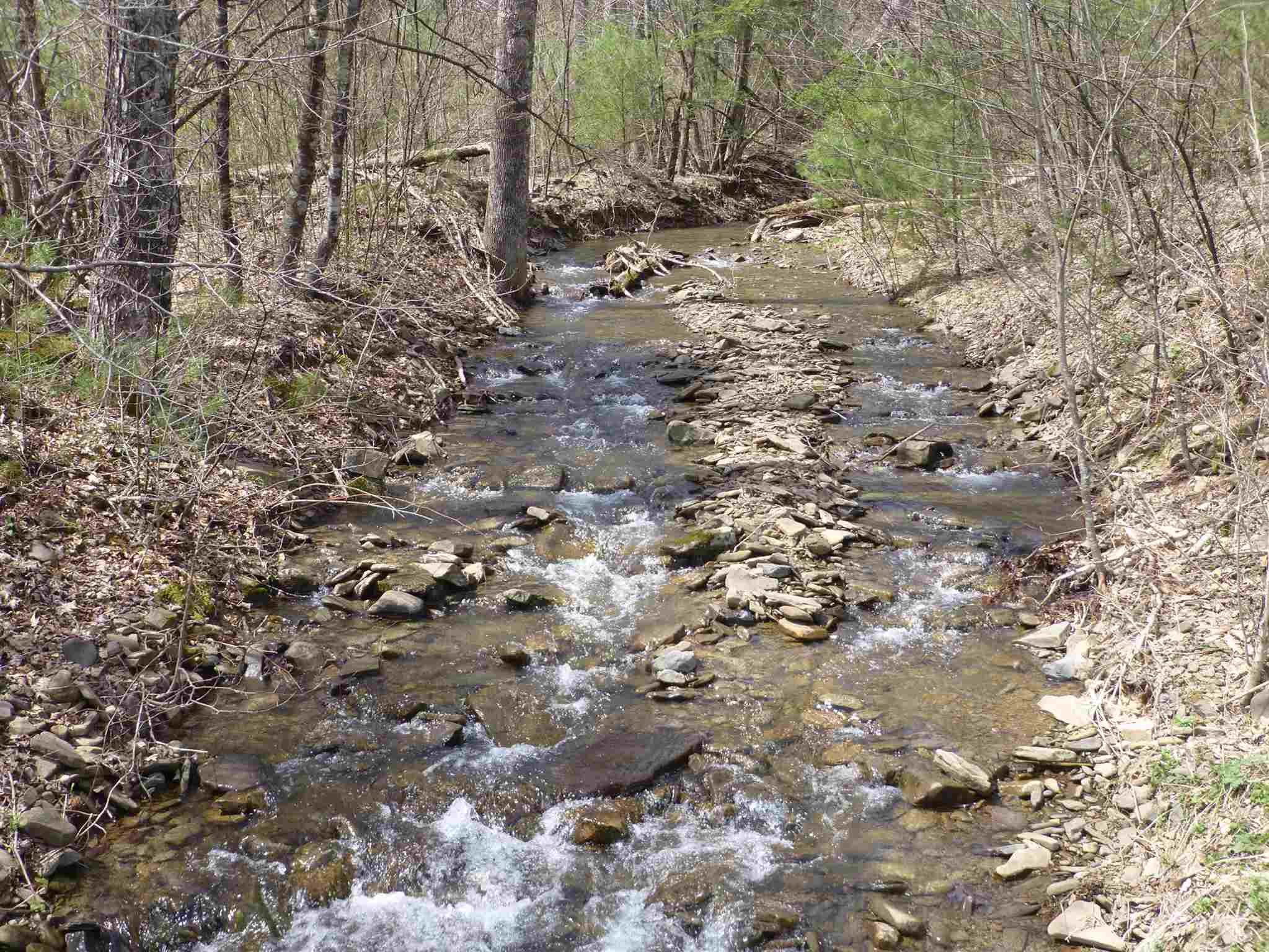 61-ac Upper Back Creek Road Monterey, VA 24465 - Photo 2 of 7 Gallery Image 2