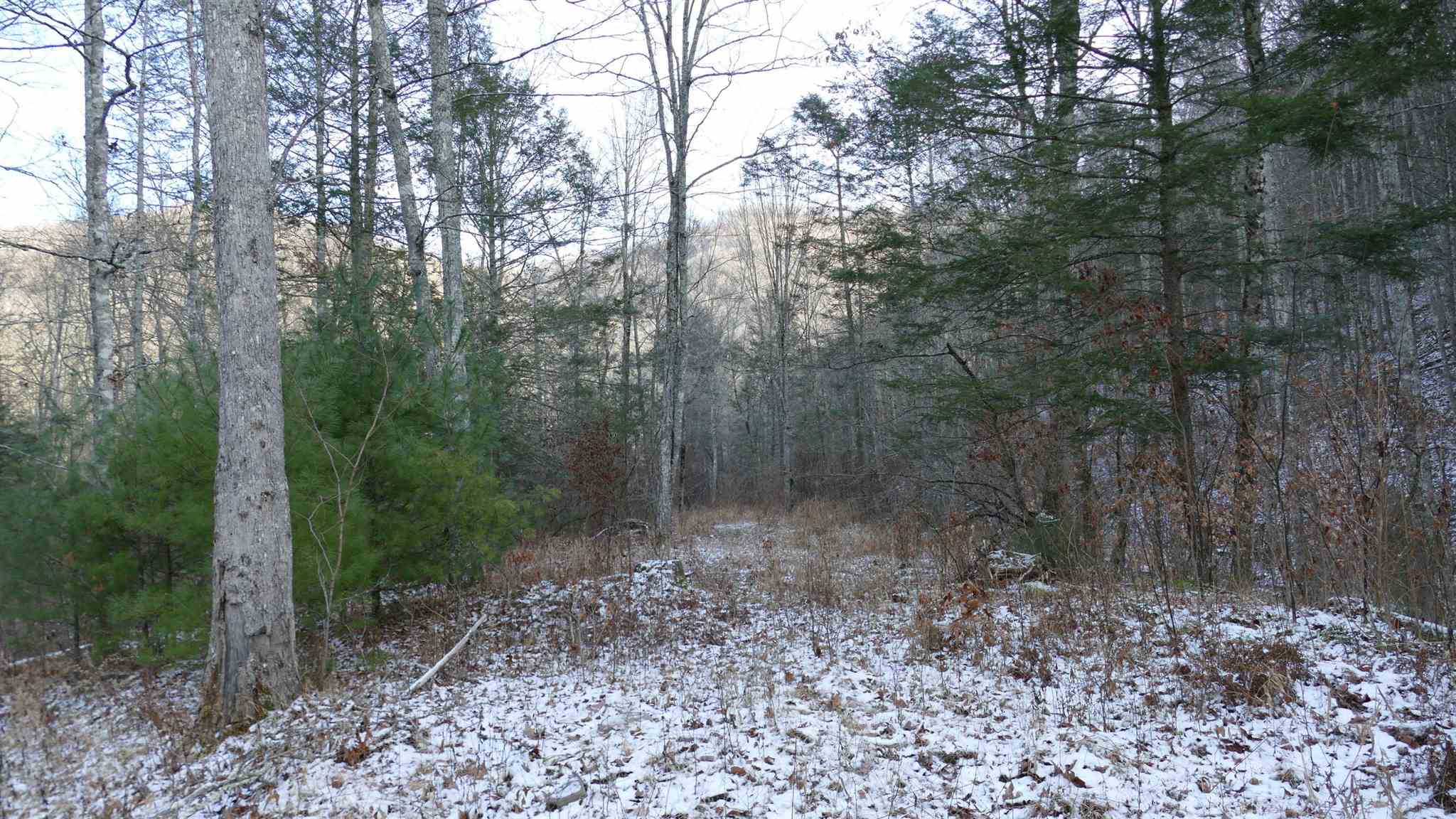 61-ac Upper Back Creek Road Monterey, VA 24465 - Photo 3 of 7 Gallery Image 3