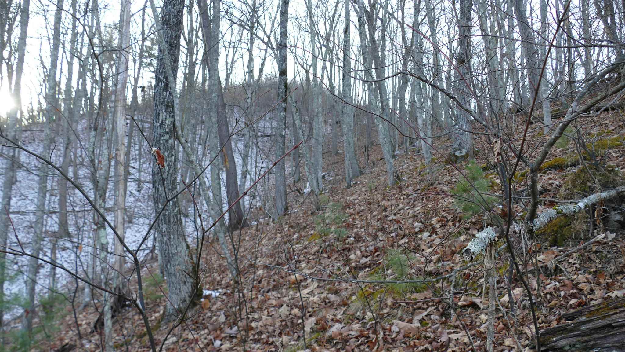 61-ac Upper Back Creek Road Monterey, VA 24465 - Photo 4 of 7 Gallery Image 4