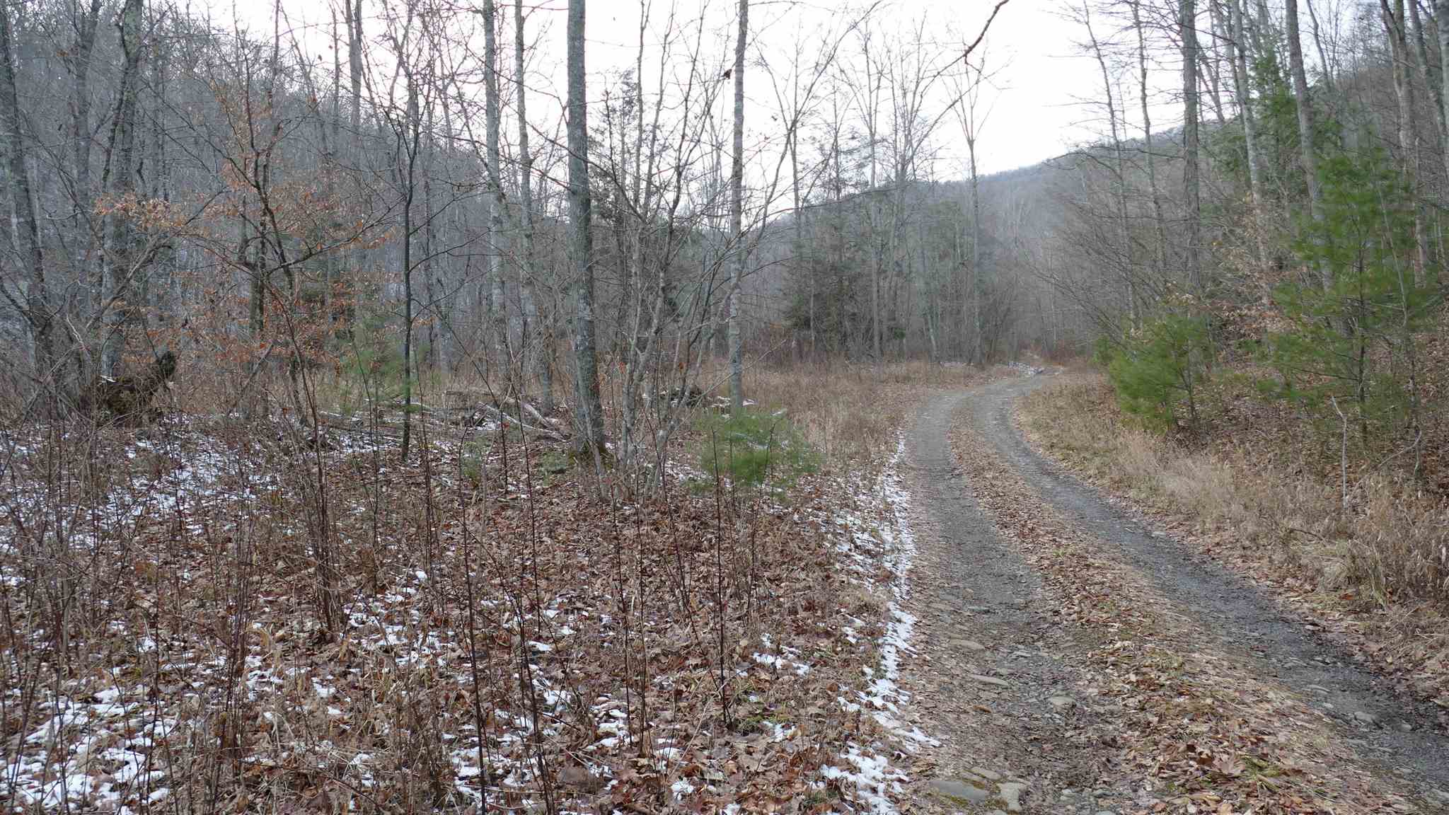 61-ac Upper Back Creek Road Monterey, VA 24465 - Photo 5 of 7 Gallery Image 5