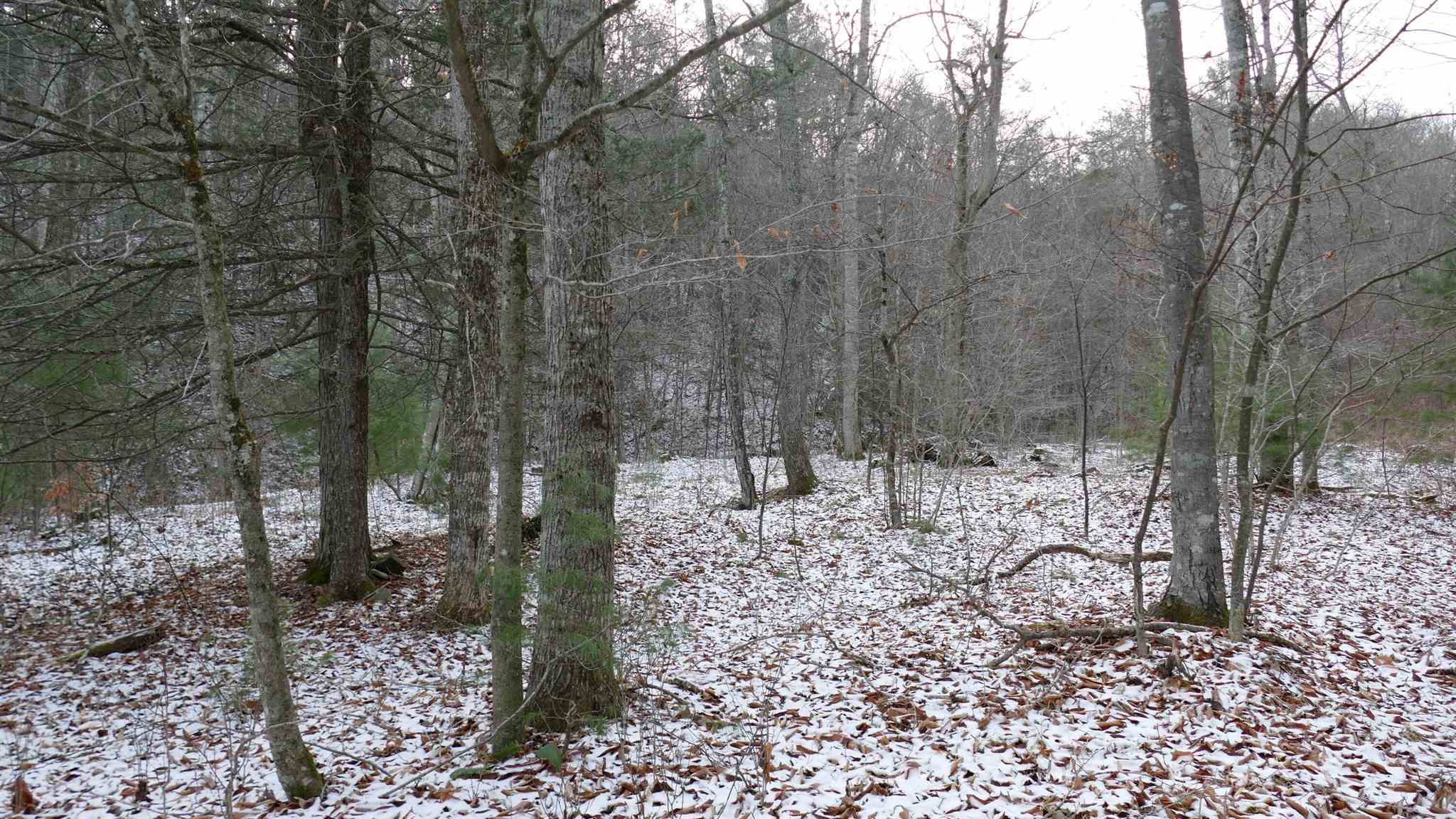 61-ac Upper Back Creek Road Monterey, VA 24465 - Photo 6 of 7 Gallery Image 6