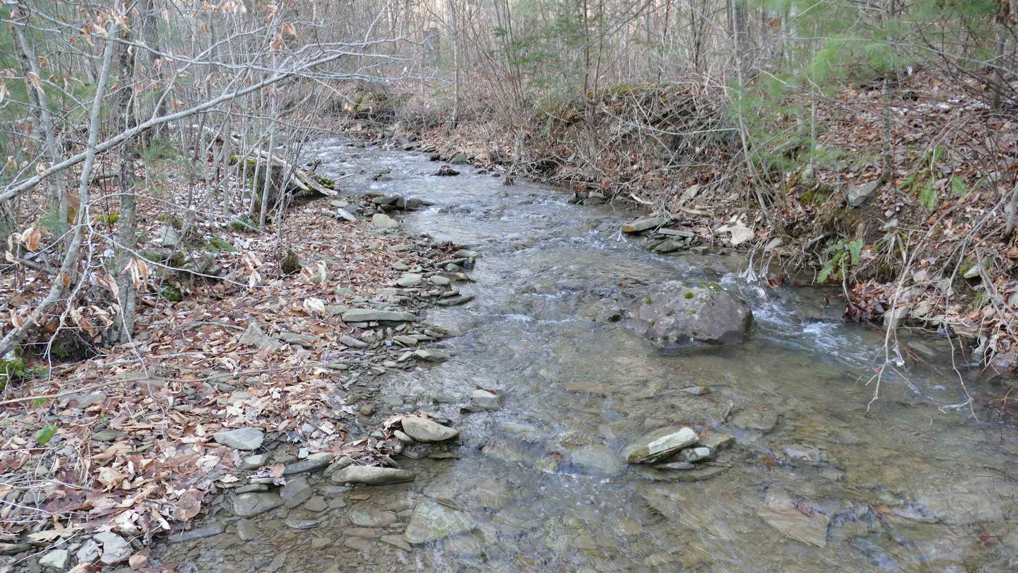 61-ac Upper Back Creek Road Monterey, VA 24465 - Photo 7 of 7 Gallery Image 7
