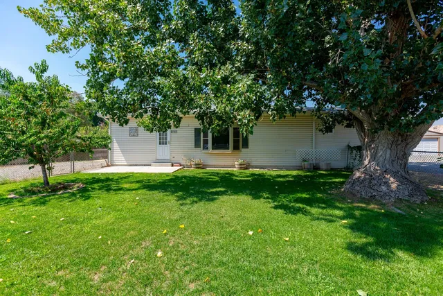 a view of a backyard with large trees