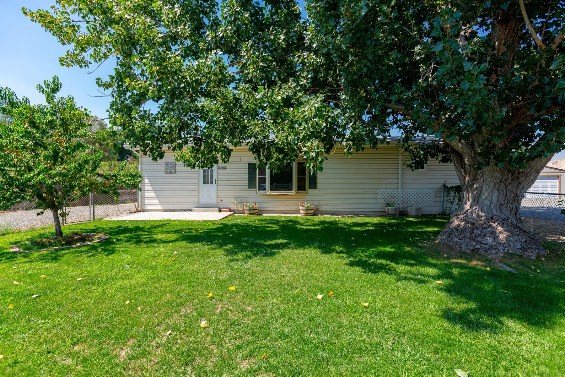 a view of a backyard with large trees