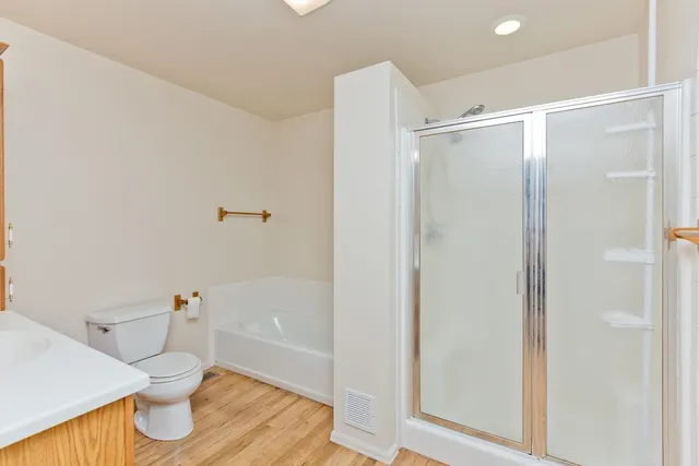 a bathroom with a shower and a toilet