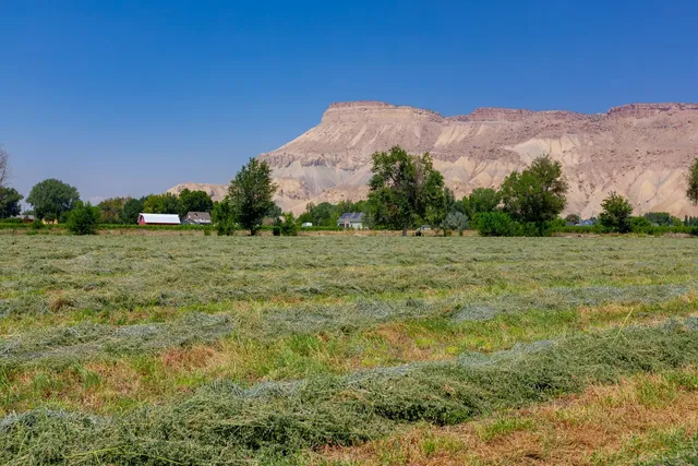 a view of backyard with garden and outdoor space