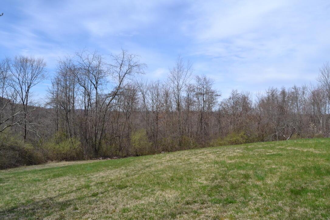 12390 Dodds Road Southeast Heath, OH 43056 - Photo 7 of 34 Yard