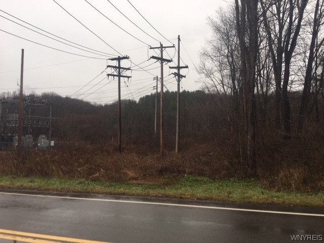 0 State Road West Falls, NY 14170 - Photo 1 of 1