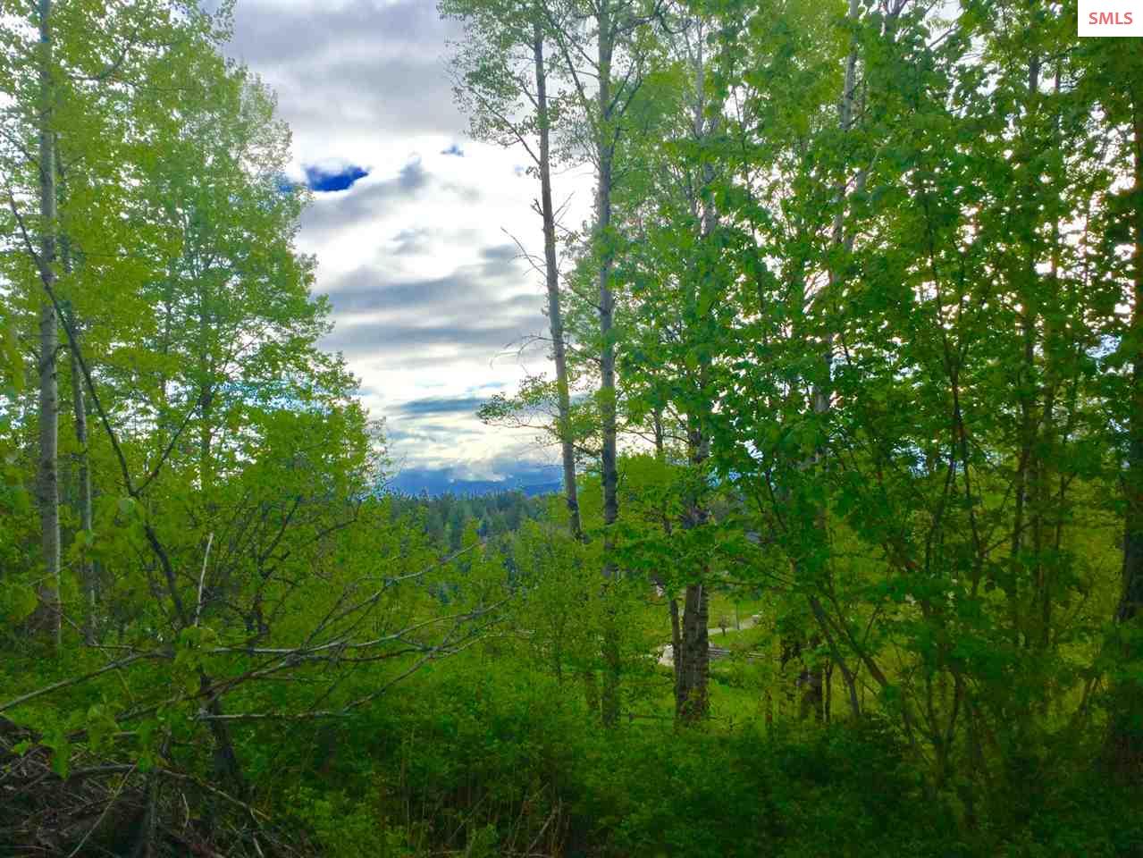 Nna Nna Road Sandpoint, ID 83864 - Photo 4 of 14