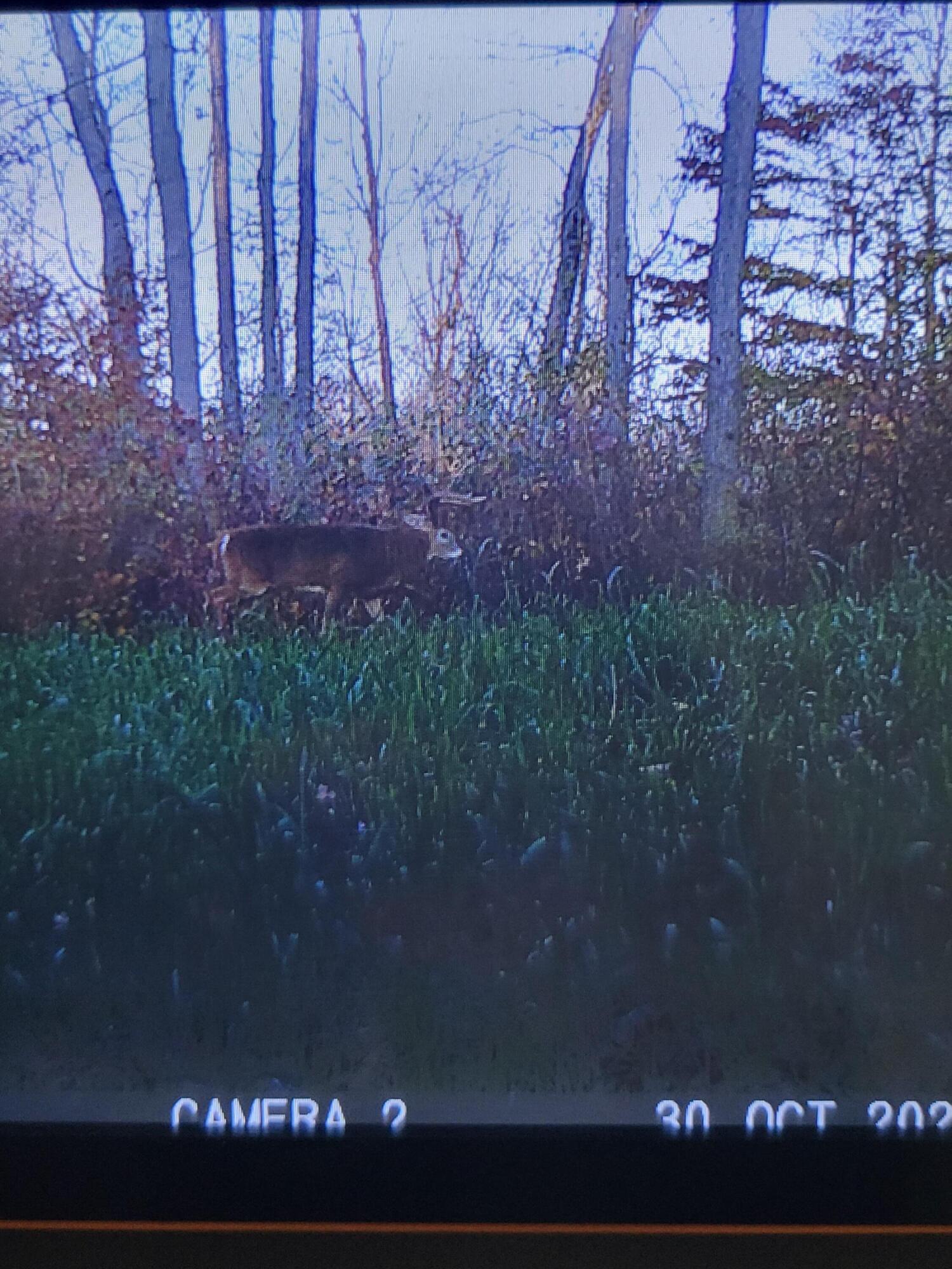 0 Kile Road Chardon, OH 44024 - Photo 19 of 21 19
