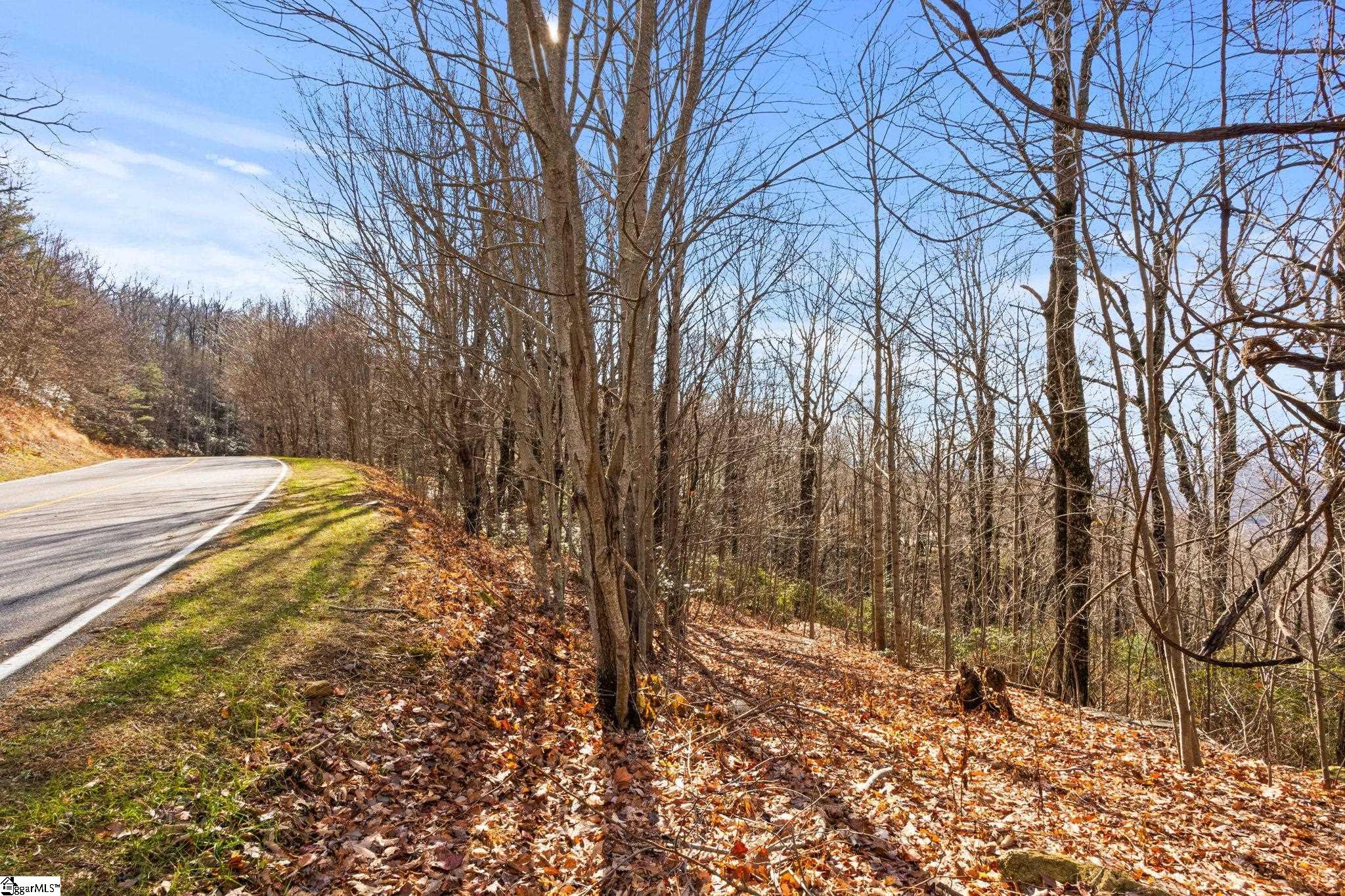 1315 Mountain Summit Road Travelers Rest, SC 29690 - Photo 17 of 25