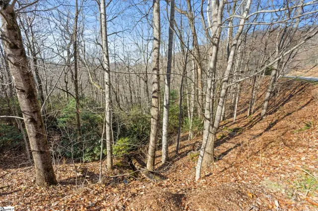 $249,000 | 1315 Mountain Summit Road, Travelers Rest, SC 29690