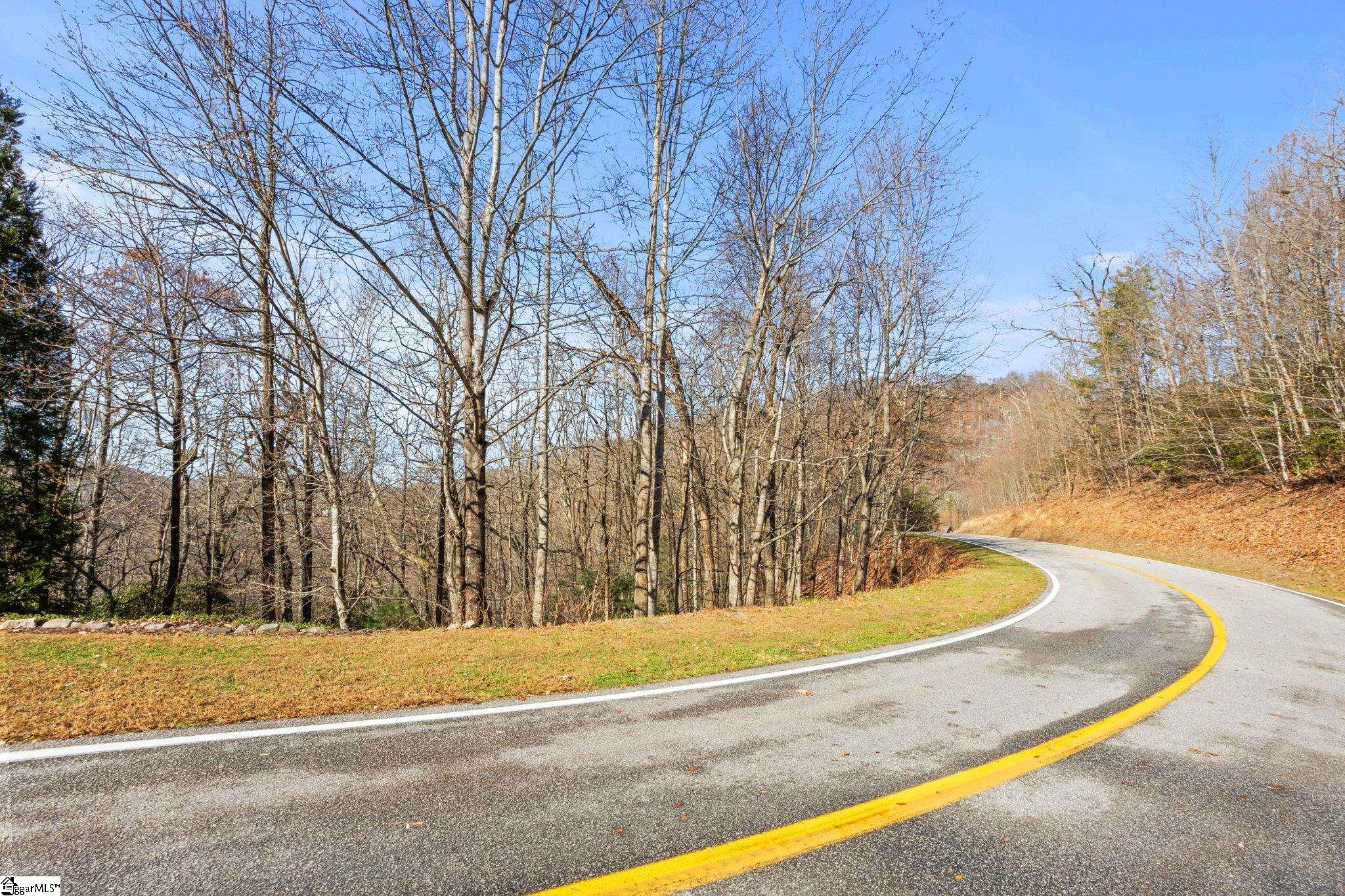 1315 Mountain Summit Road Travelers Rest, SC 29690 - Photo 10 of 25
