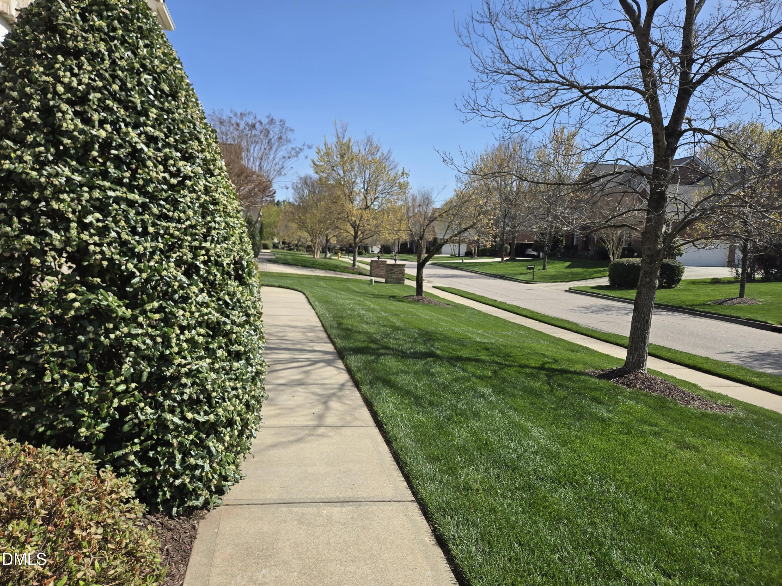 9628 Club Valley Way Raleigh, NC 27617 - Photo 49 of 68 a view of a park with large trees