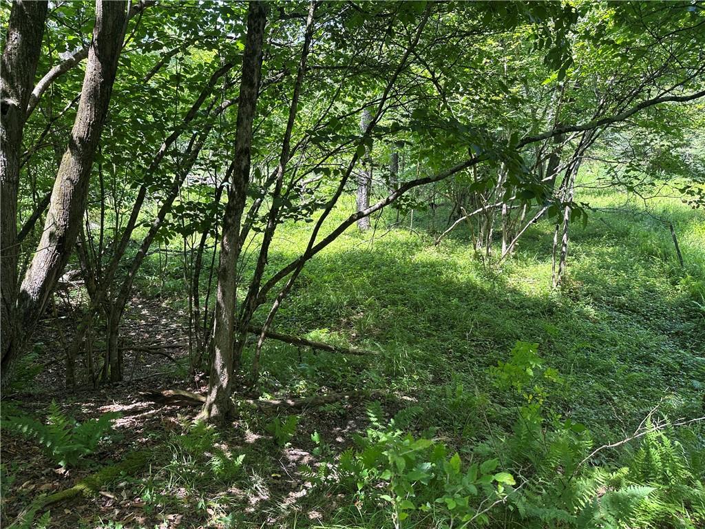 0 Cooperstown Road Cooperstown, PA 16317 - Photo 10 of 23