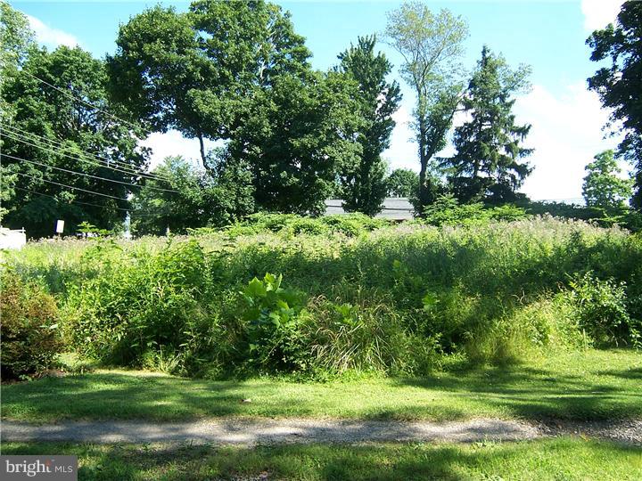0 Northwest Bodine Road Berwyn, PA 19312 - Photo 3 of 9