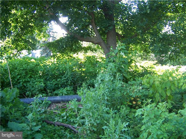 0 Northwest Bodine Road Berwyn, PA 19312 - Photo 6 of 9