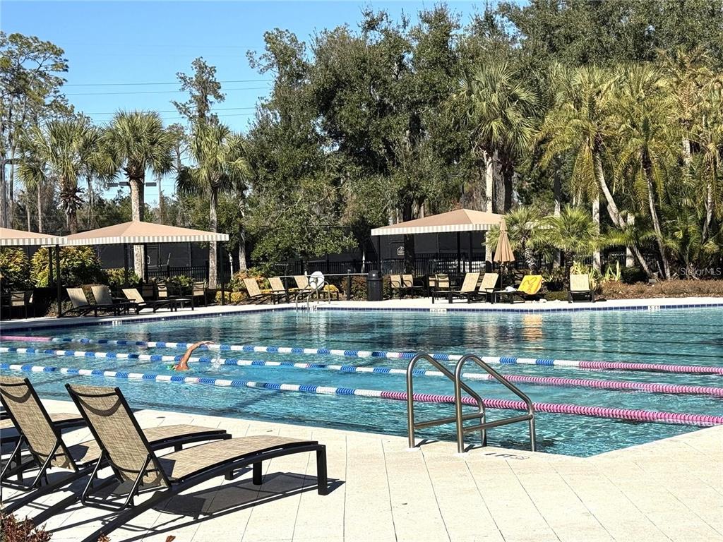 2320 Spring Hollow Loop Wesley Chapel, FL 33544 - Photo 28 of 30