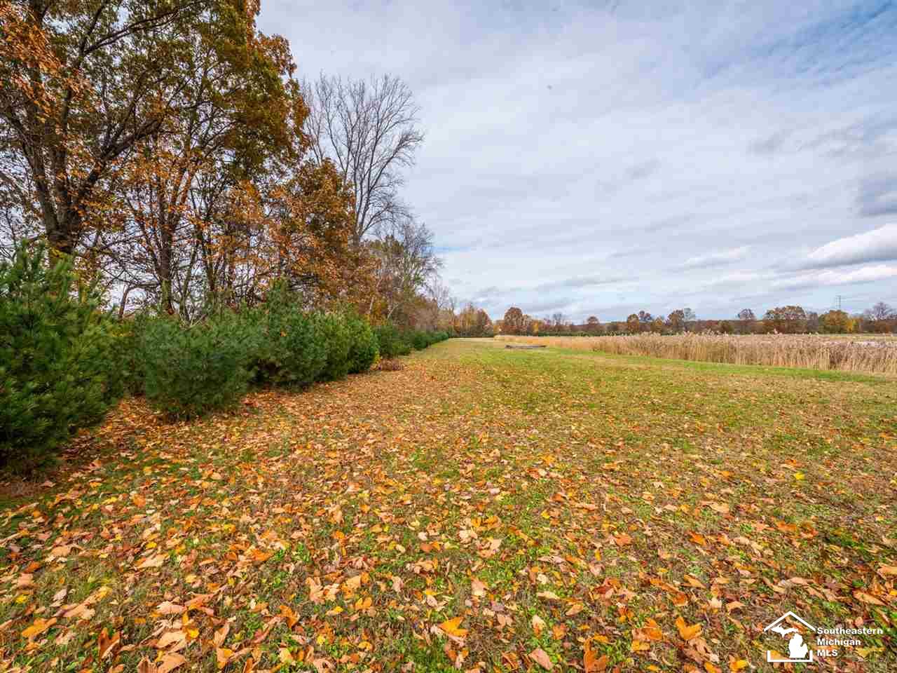 0 Meanwell Road Dundee, MI 48131 - Photo 12 of 19