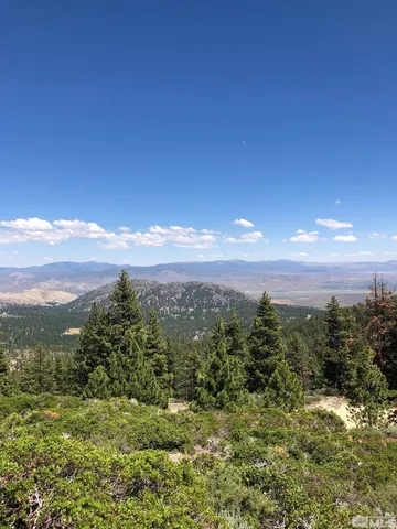 a view of a city with lush green forest