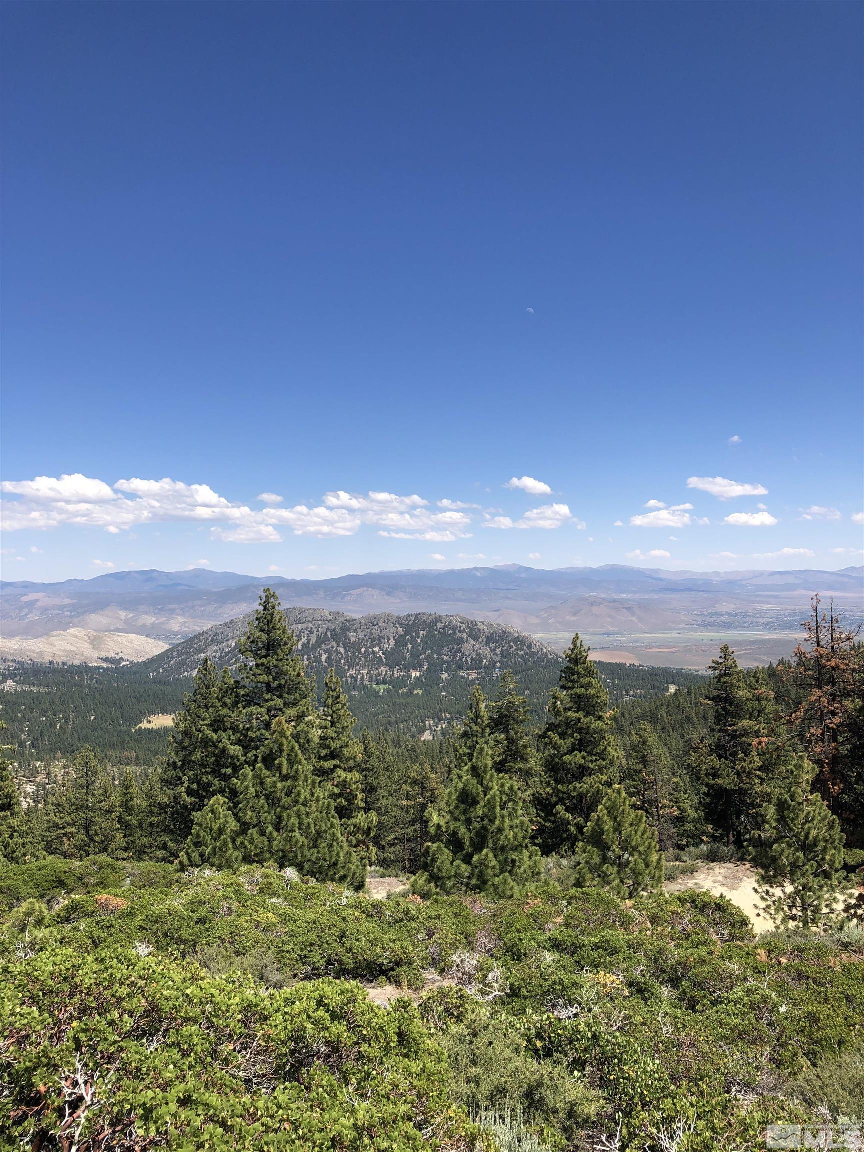 a view of a city with lush green forest