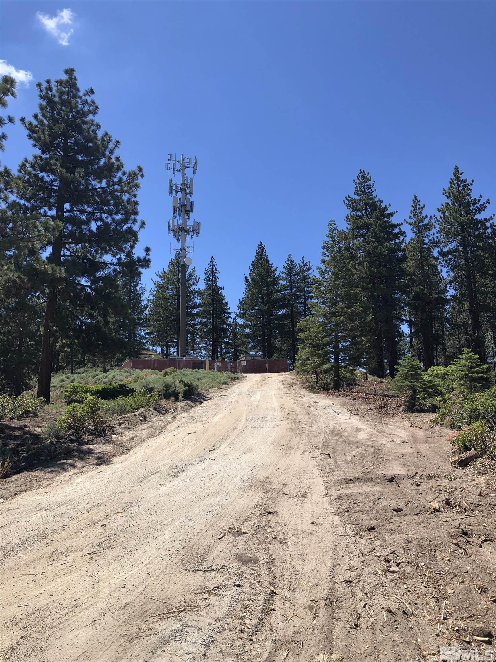 3735 Highway 50 Glenbrook, NV 89413 - Photo 11 of 11 a view of a yard with a tree